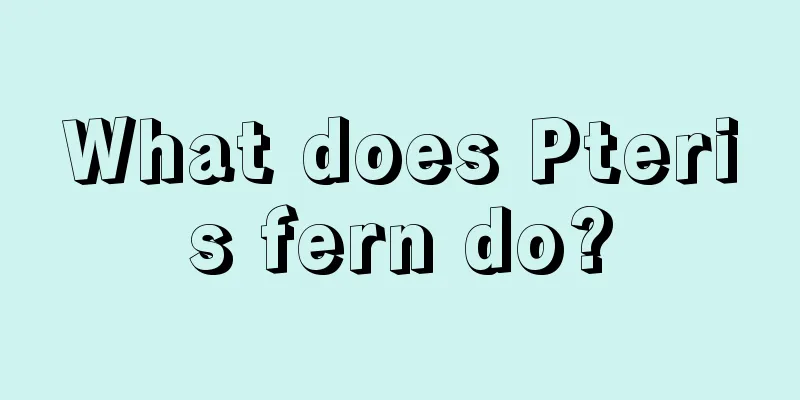 What does Pteris fern do?