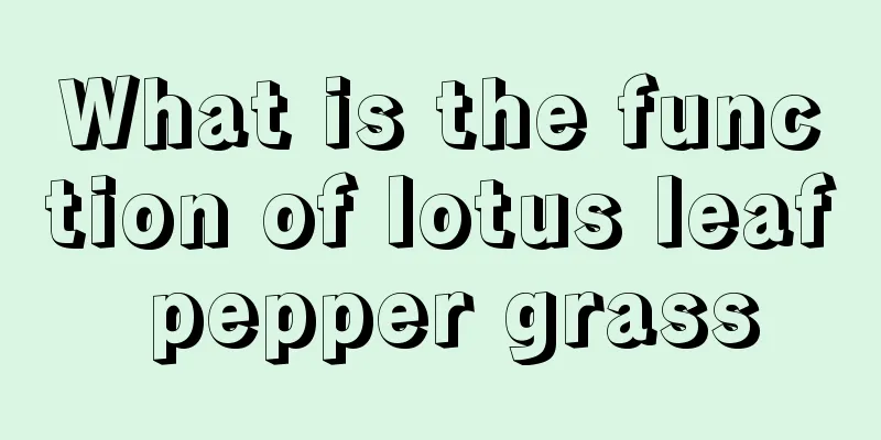 What is the function of lotus leaf pepper grass