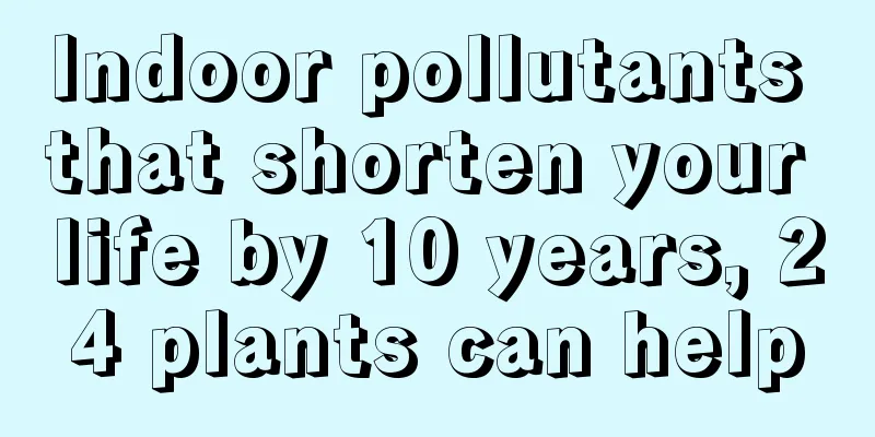 Indoor pollutants that shorten your life by 10 years, 24 plants can help