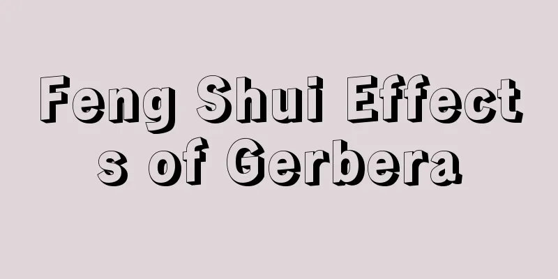 Feng Shui Effects of Gerbera