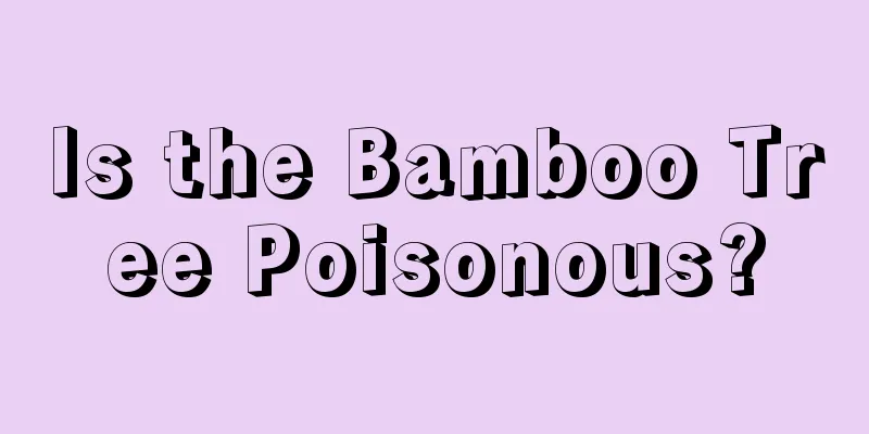 Is the Bamboo Tree Poisonous?