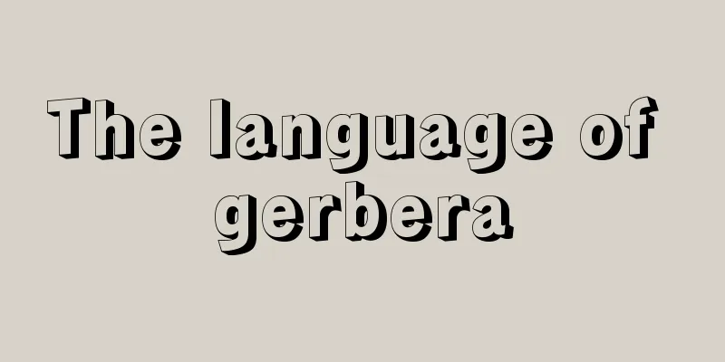 The language of gerbera