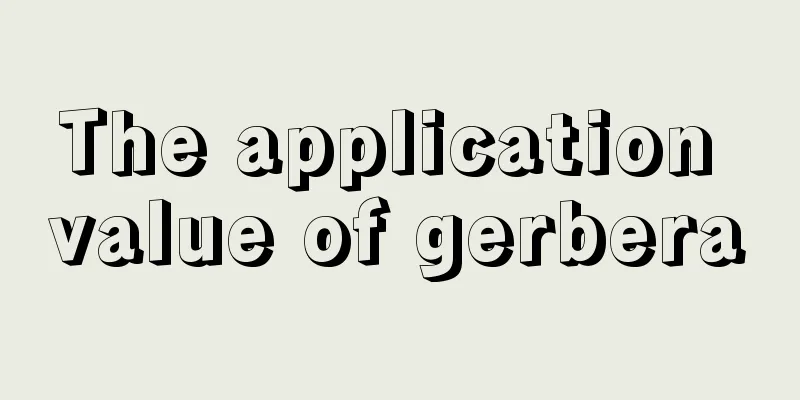 The application value of gerbera