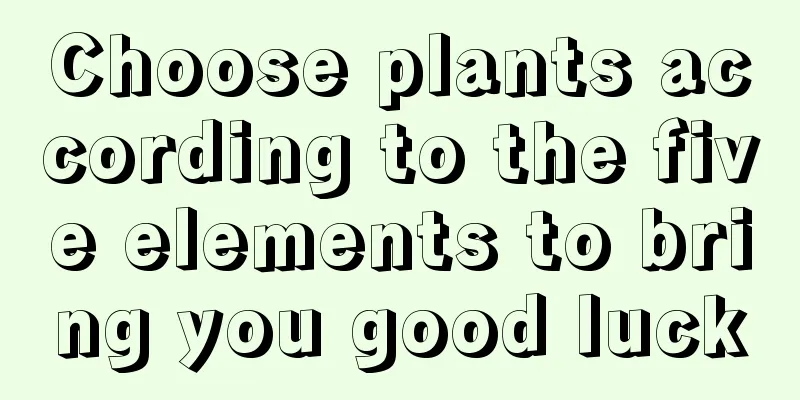 Choose plants according to the five elements to bring you good luck