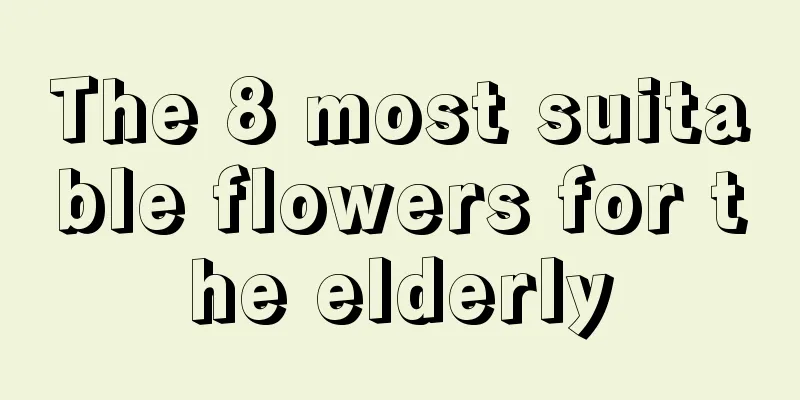 The 8 most suitable flowers for the elderly