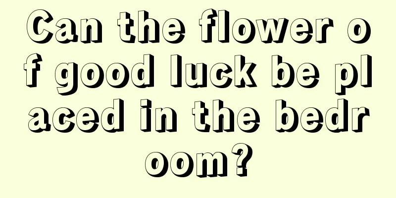 Can the flower of good luck be placed in the bedroom?