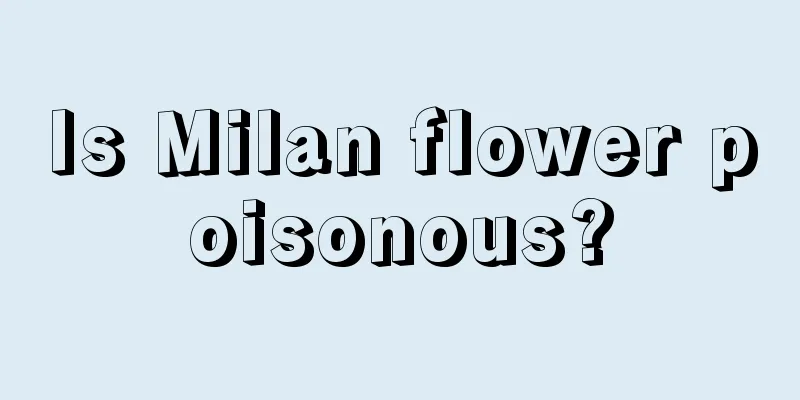 Is Milan flower poisonous?