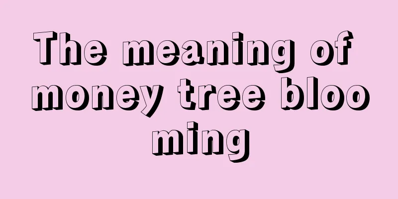 The meaning of money tree blooming