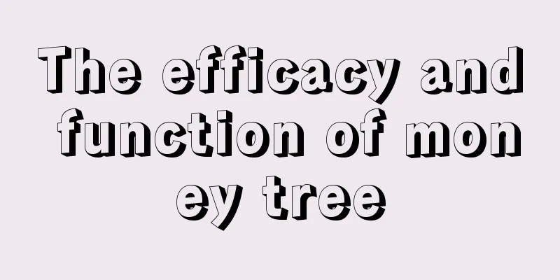 The efficacy and function of money tree