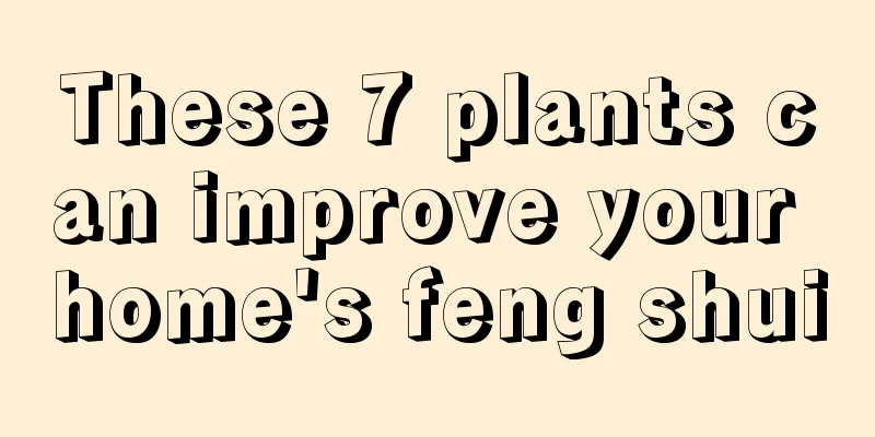 These 7 plants can improve your home's feng shui