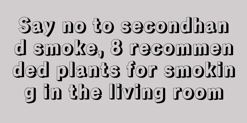 Say no to secondhand smoke, 8 recommended plants for smoking in the living room