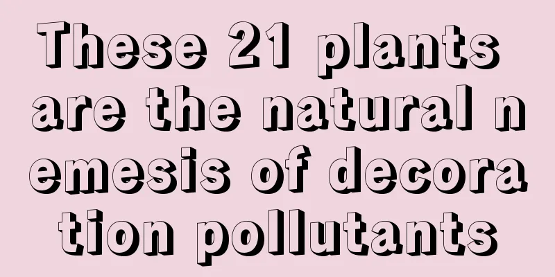 These 21 plants are the natural nemesis of decoration pollutants