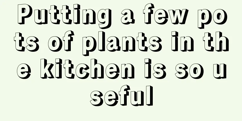 Putting a few pots of plants in the kitchen is so useful