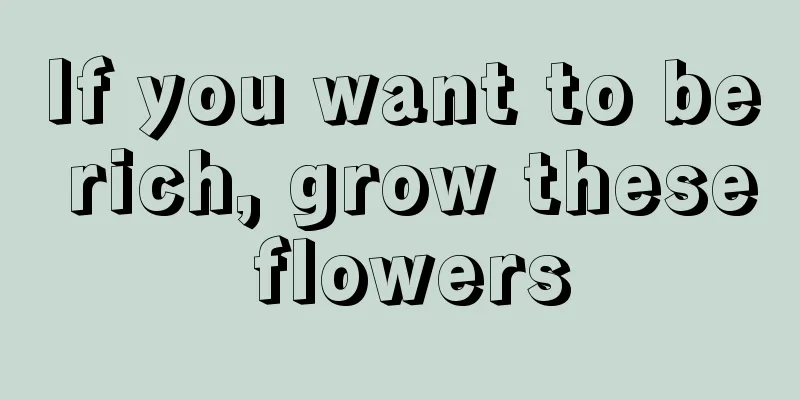 If you want to be rich, grow these flowers