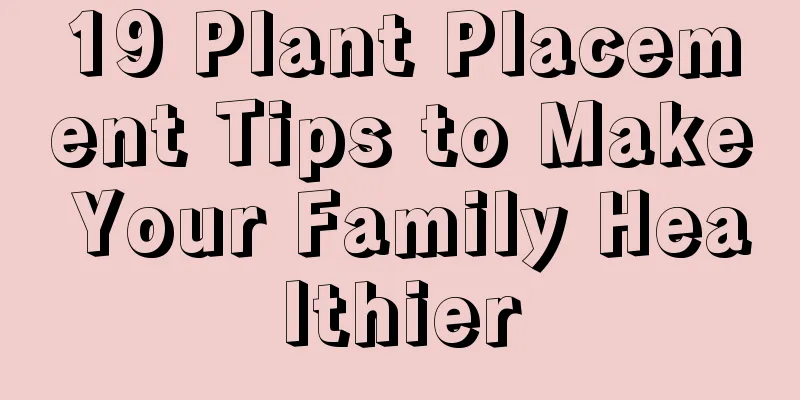 19 Plant Placement Tips to Make Your Family Healthier