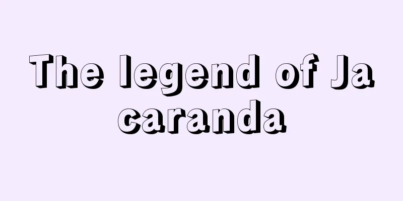 The legend of Jacaranda