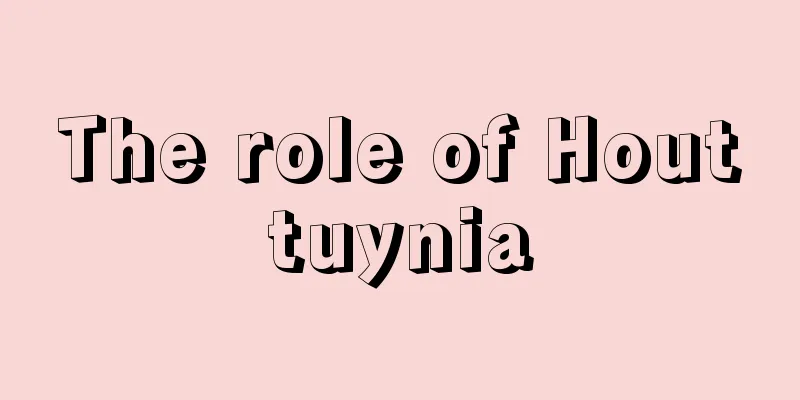 The role of Houttuynia