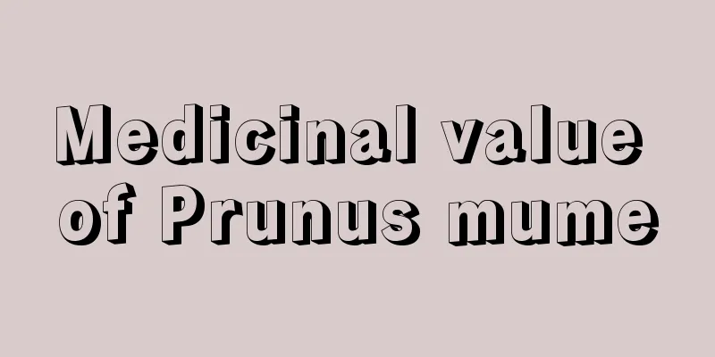 Medicinal value of Prunus mume