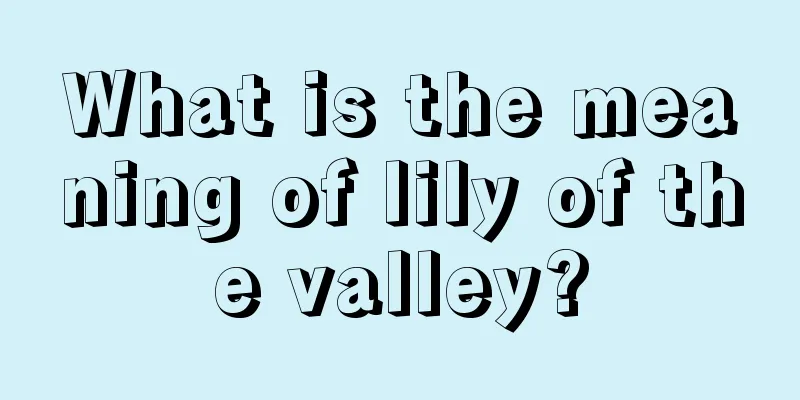 What is the meaning of lily of the valley?