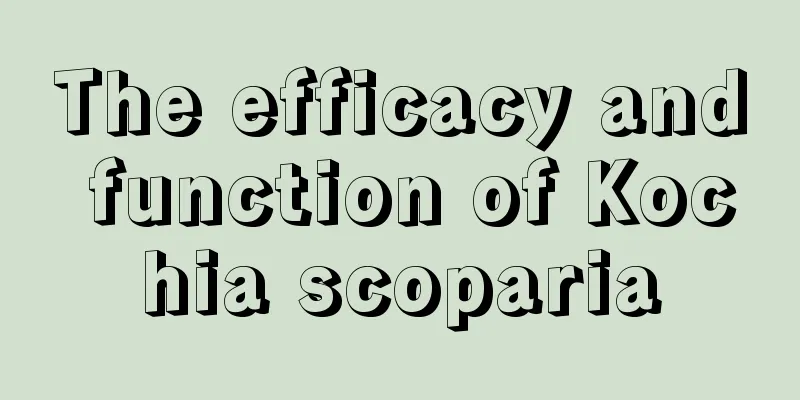 The efficacy and function of Kochia scoparia