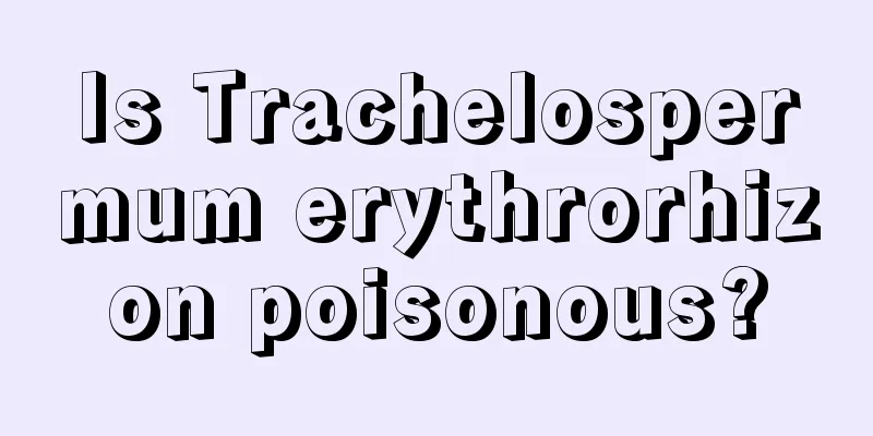 Is Trachelospermum erythrorhizon poisonous?