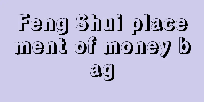 Feng Shui placement of money bag