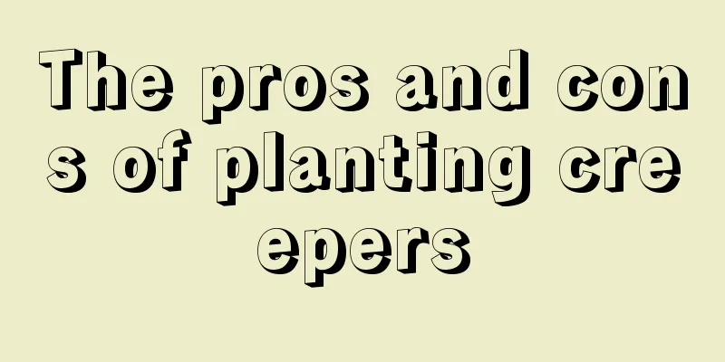 The pros and cons of planting creepers