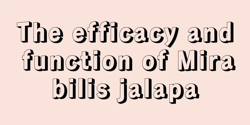 The efficacy and function of Mirabilis jalapa