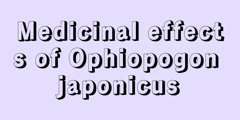 Medicinal effects of Ophiopogon japonicus