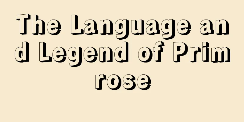 The Language and Legend of Primrose