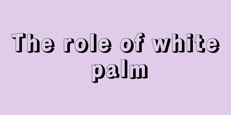 The role of white palm