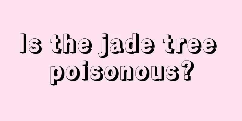 Is the jade tree poisonous?