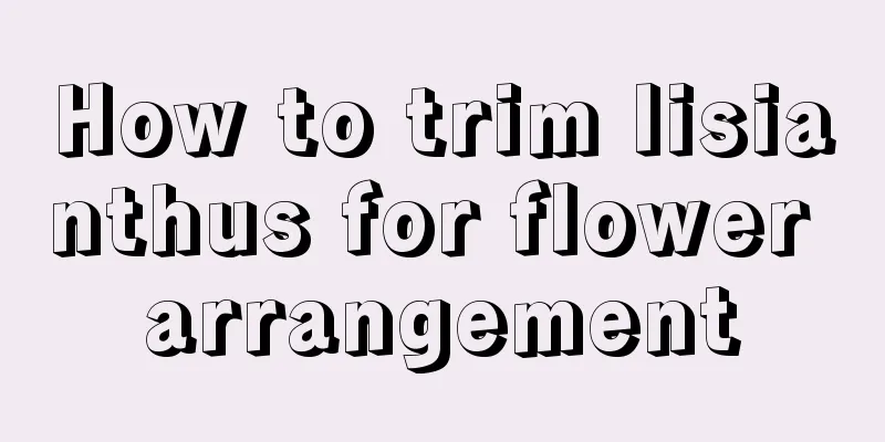 How to trim lisianthus for flower arrangement