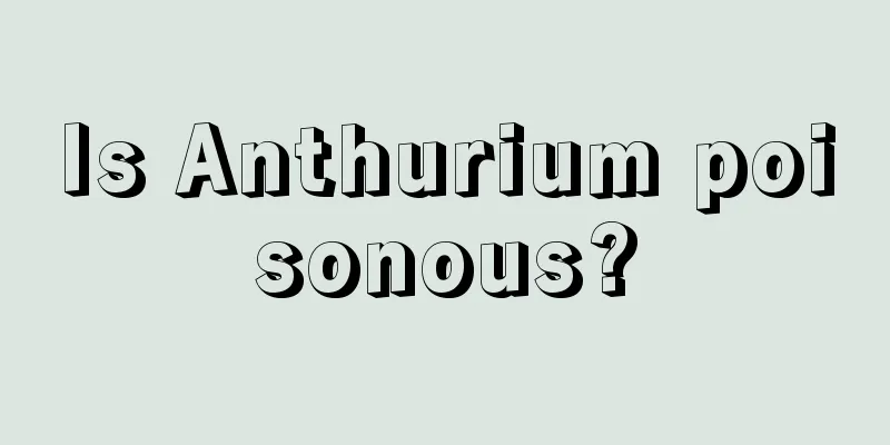 Is Anthurium poisonous?