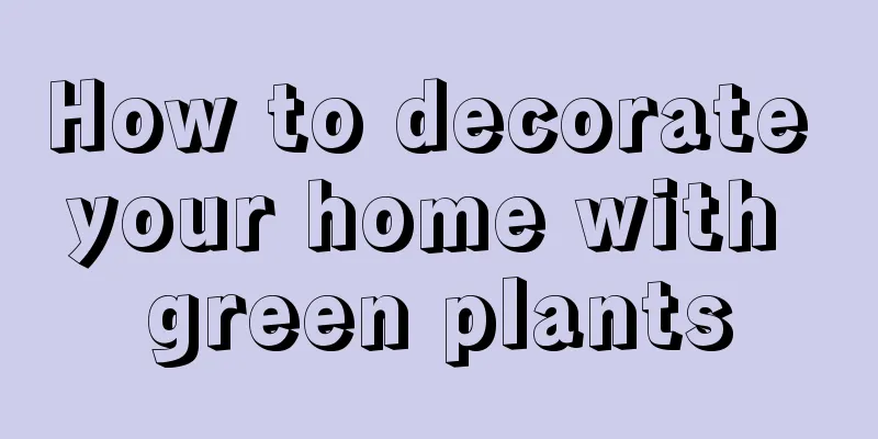 How to decorate your home with green plants