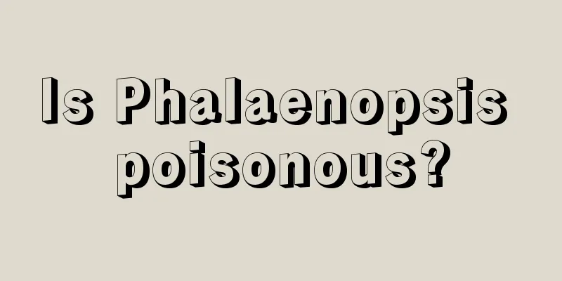 Is Phalaenopsis poisonous?