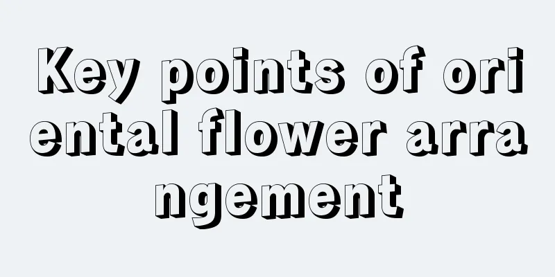 Key points of oriental flower arrangement