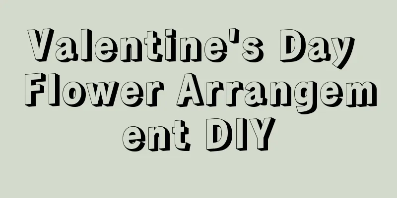 Valentine's Day Flower Arrangement DIY