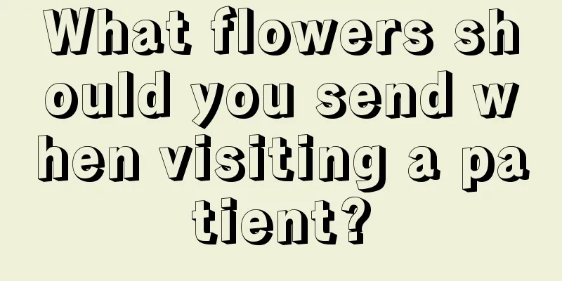 What flowers should you send when visiting a patient?