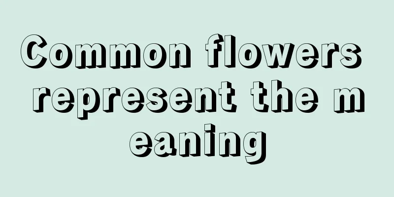 Common flowers represent the meaning