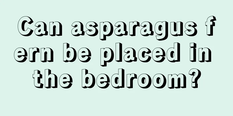 Can asparagus fern be placed in the bedroom?