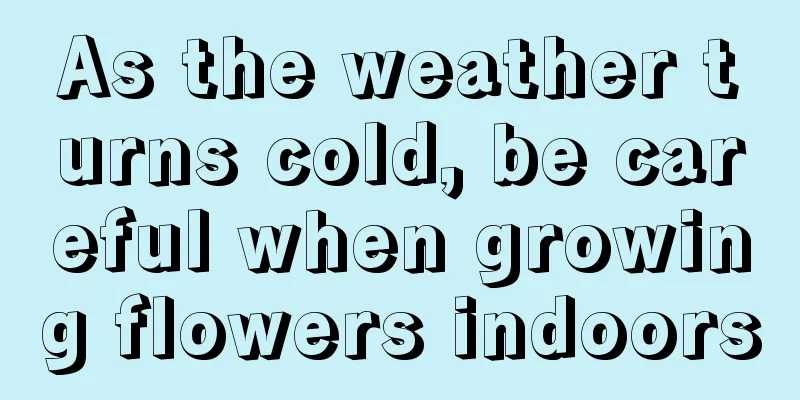 As the weather turns cold, be careful when growing flowers indoors