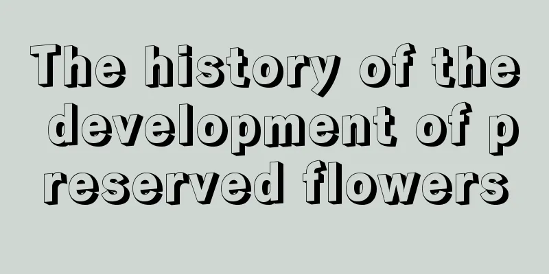 The history of the development of preserved flowers