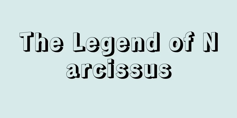 The Legend of Narcissus