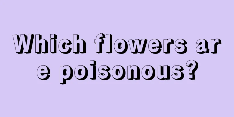 Which flowers are poisonous?