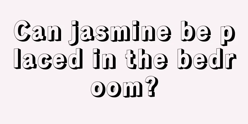 Can jasmine be placed in the bedroom?