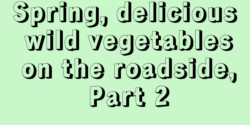 Spring, delicious wild vegetables on the roadside, Part 2