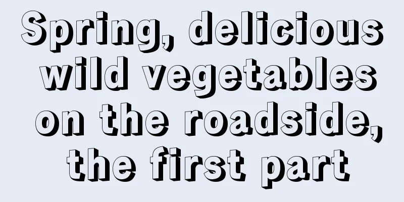 Spring, delicious wild vegetables on the roadside, the first part