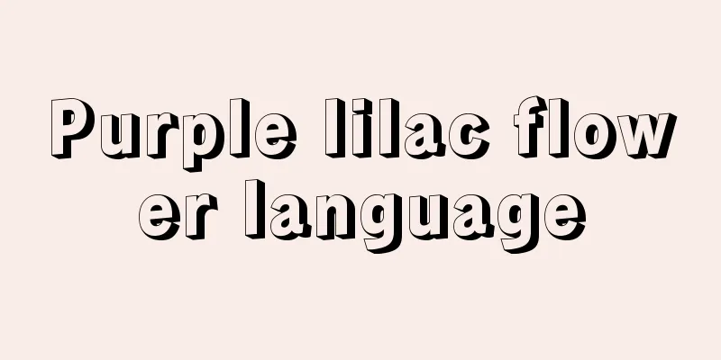 Purple lilac flower language