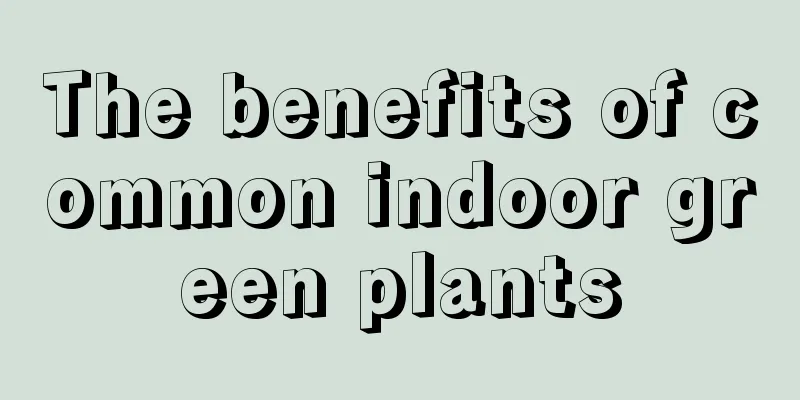 The benefits of common indoor green plants